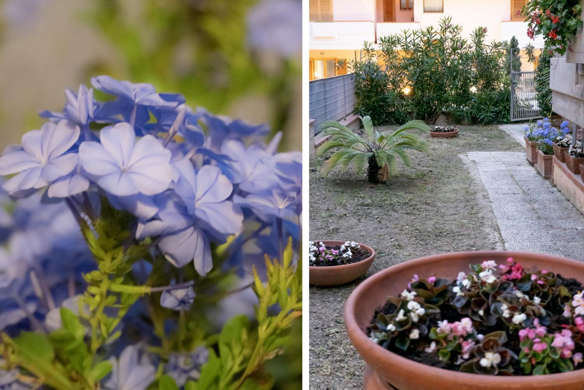 Il Giardino Lejlighed Civitanova Marche Eksteriør billede